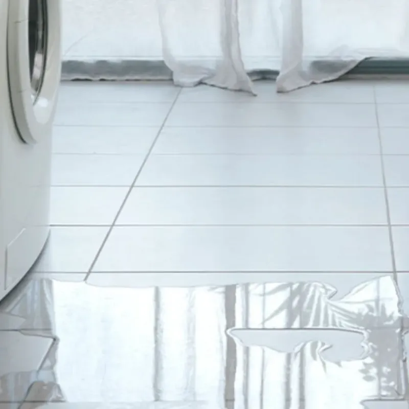 Appliance Leak Cleanup in East Prairie, MO