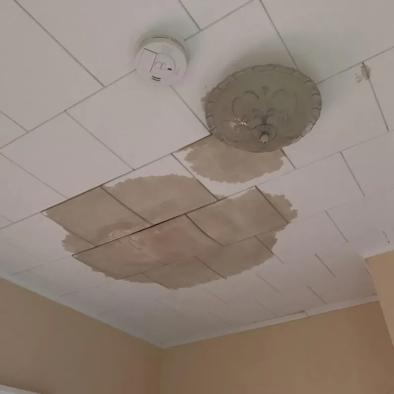 Ceiling Water Damage Repair in East Prairie, MO